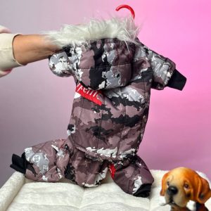 نمای پشت سرهمی گرم خزدار سگ طرح چریکی