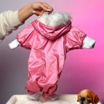 نمای پشت سرهمی کلاهدار خزدار سگ صورتی